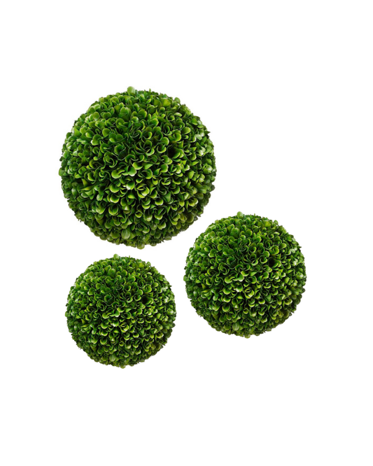 Boxwood Ball Medium  - Green