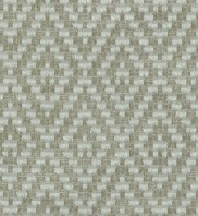 Cash and Carry Fabric