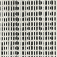 Cash and Carry Fabric