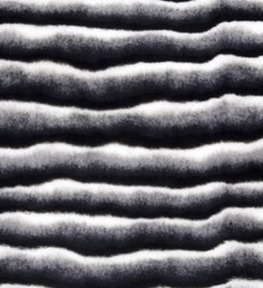 Cash and Carry Fabric