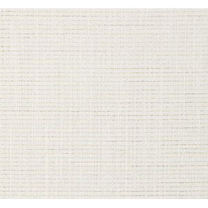 Cash and Carry Fabric