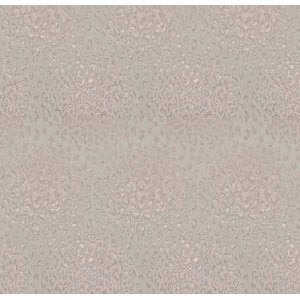 Cash and Carry Fabric