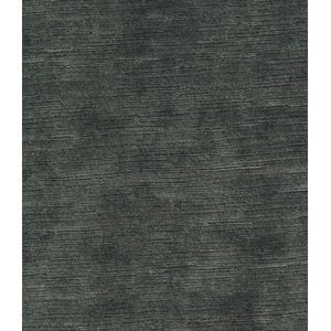 Cash and Carry Fabric