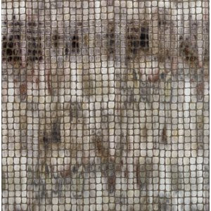 Cash and Carry Fabric