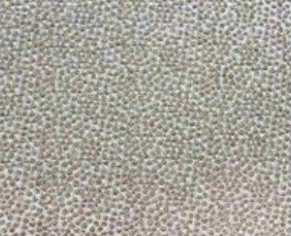 Cash and Carry Fabric