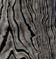 Cash and Carry Fabric