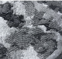 Cash and Carry Fabric