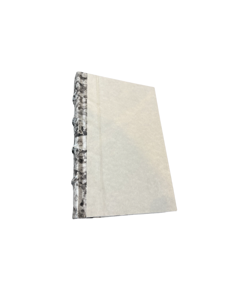 Decorative Books 7.5"-9.5"