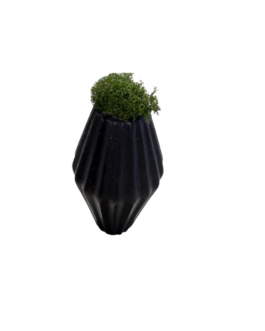 Small Vase with Moss - Black
