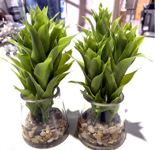 Glass Vase Floral with rock